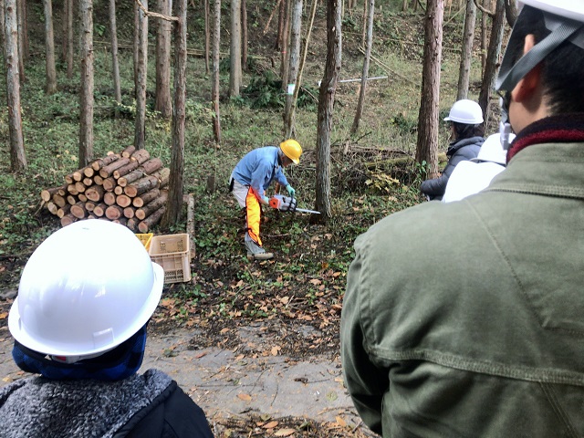 f:id:tmja:20171128122927j:plain