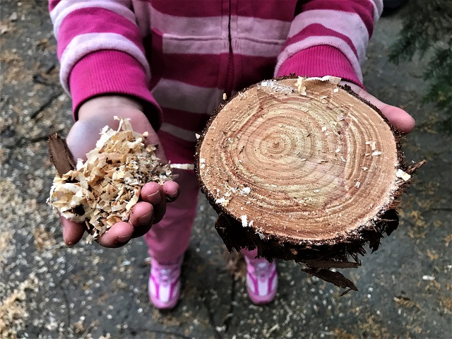 f:id:tmja:20210222142540j:plain