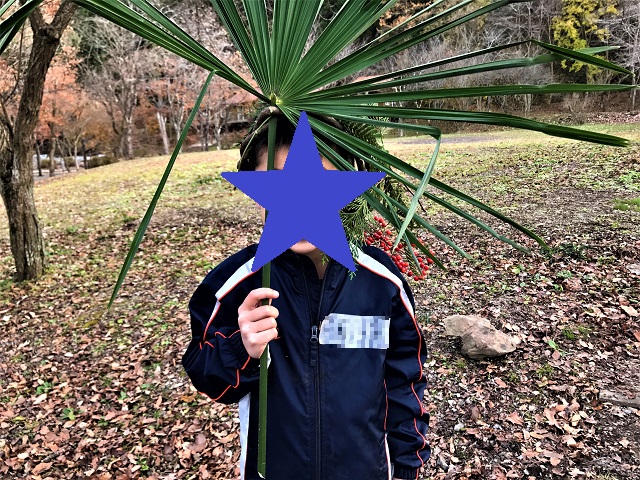 f:id:tmja:20210222142601j:plain