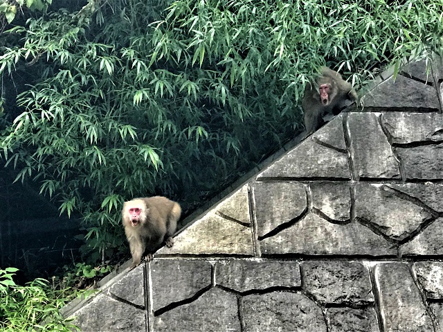 f:id:tmja:20210222184729j:plain