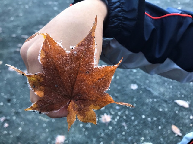 f:id:tmja:20210223194147j:plain