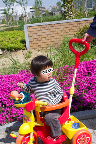 三輪車でびゅう