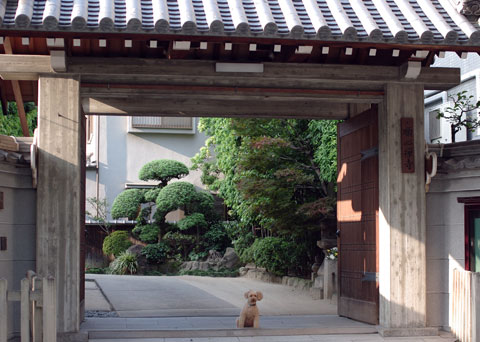 看板犬？