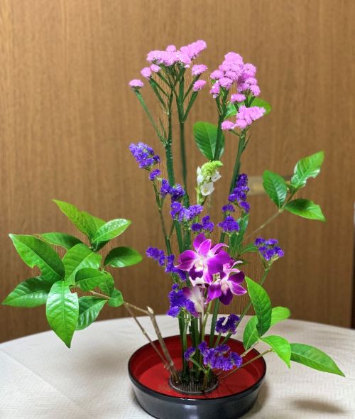 f:id:tmm-style:20210519152603j:plain