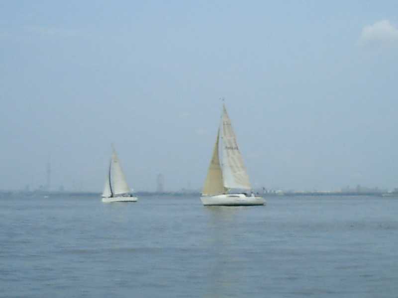 f:id:tmoc:20130728104016j:image f:id:tmoc:20130728104016j:image
