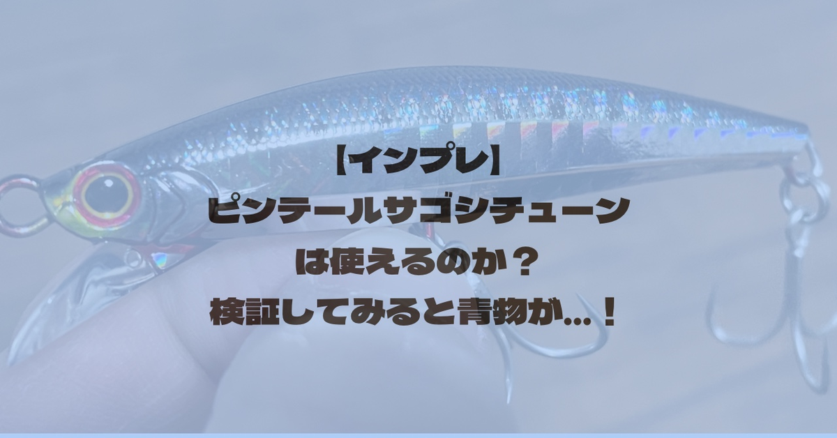 【インプレ】ピンテールサゴシチューンは使えるのか？検証してみると青物が…！ ティムの釣りブロ