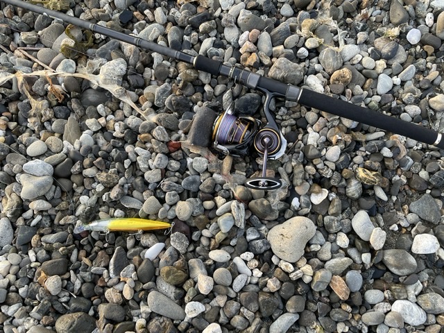 インプレ】ソルティスタイルフラットフィッシュ（STFS-1032MH-KR