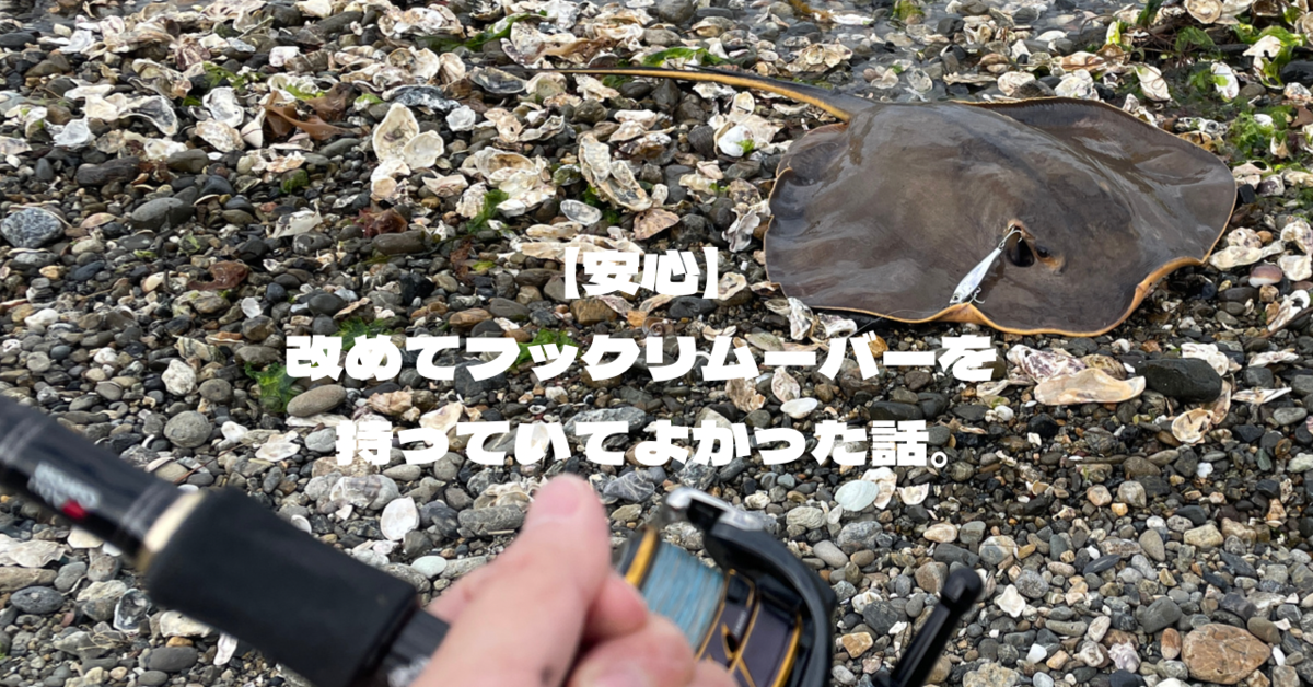 【安心】改めてフックリムーバーを持っていてよかった話。
