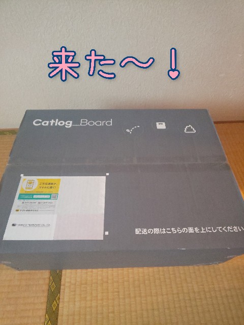 f:id:tmpm:20211207201453j:image f:id:tmpm:20211207201453j:image