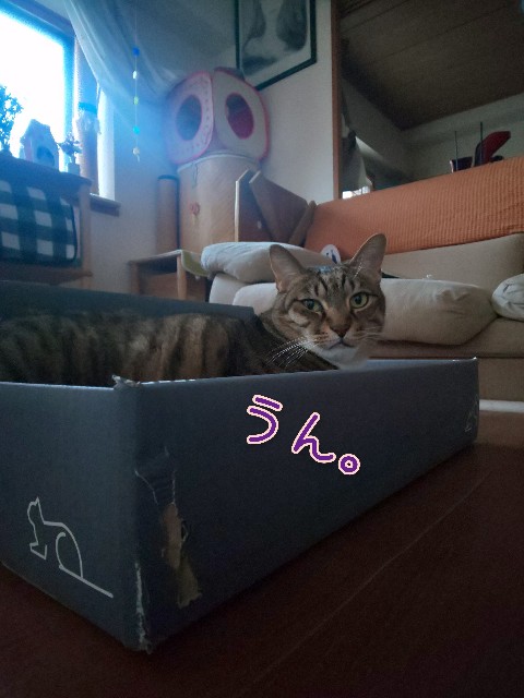 f:id:tmpm:20211207203001j:image f:id:tmpm:20211207203001j:image