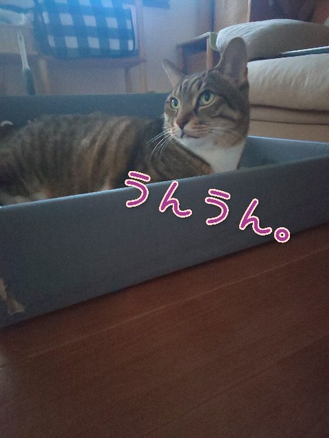 f:id:tmpm:20211207203119j:image f:id:tmpm:20211207203119j:image