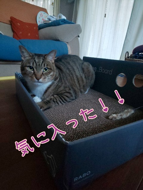 f:id:tmpm:20211207203145j:image f:id:tmpm:20211207203145j:image
