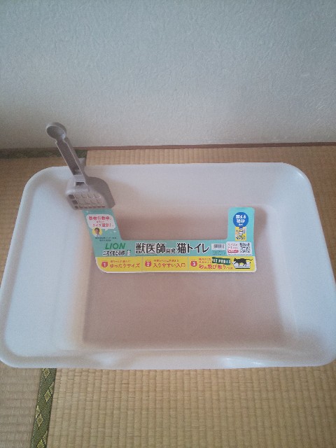 f:id:tmpm:20211208124552j:image f:id:tmpm:20211208124552j:image