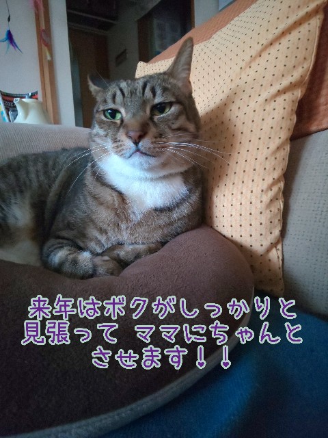 f:id:tmpm:20211230200943j:image f:id:tmpm:20211230200943j:image