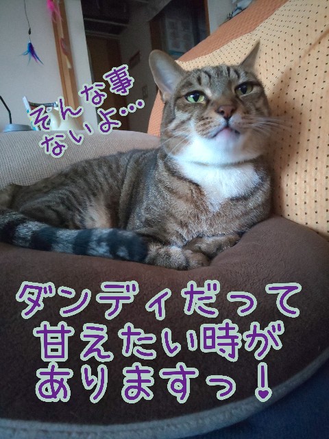 f:id:tmpm:20211230200957j:image f:id:tmpm:20211230200957j:image
