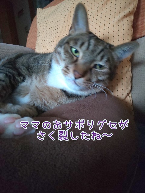f:id:tmpm:20211230201150j:image f:id:tmpm:20211230201150j:image