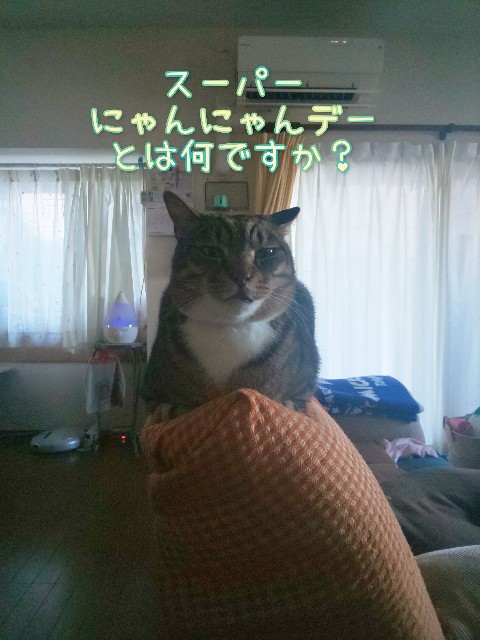 f:id:tmpm:20220222140759j:image f:id:tmpm:20220222140759j:image