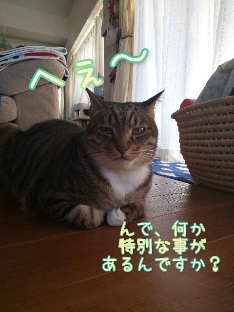 f:id:tmpm:20220222141205j:image f:id:tmpm:20220222141205j:image
