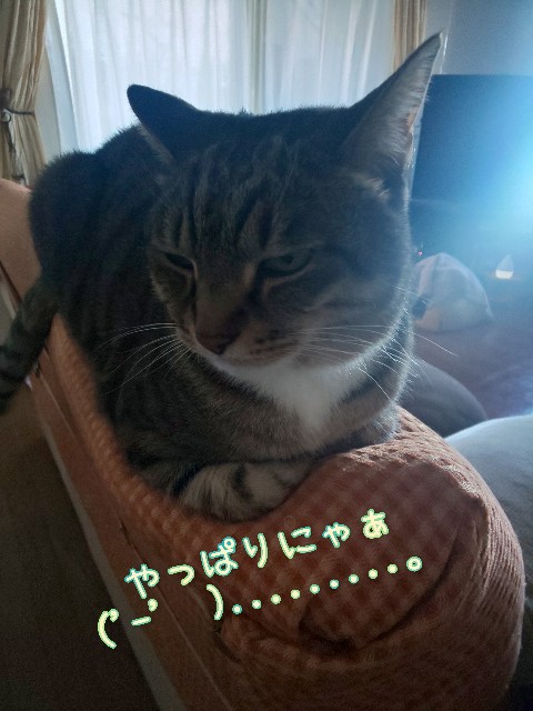 f:id:tmpm:20220222141254j:image f:id:tmpm:20220222141254j:image