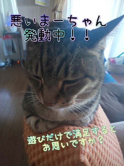 f:id:tmpm:20220222141454j:image f:id:tmpm:20220222141454j:image