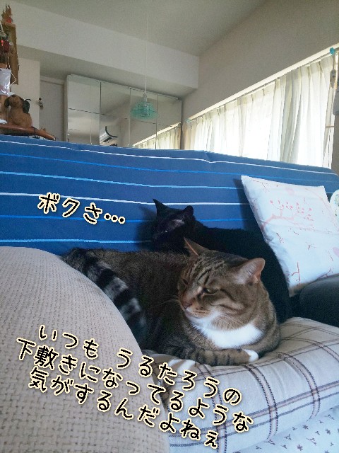 f:id:tmpm:20230303133454j:image f:id:tmpm:20230303133454j:image