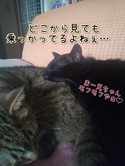 f:id:tmpm:20230303134218j:image f:id:tmpm:20230303134218j:image