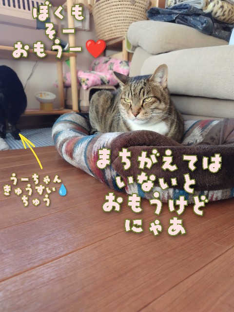 f:id:tmpm:20230321145359j:image f:id:tmpm:20230321145359j:image