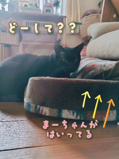 f:id:tmpm:20230321150225j:image f:id:tmpm:20230321150225j:image