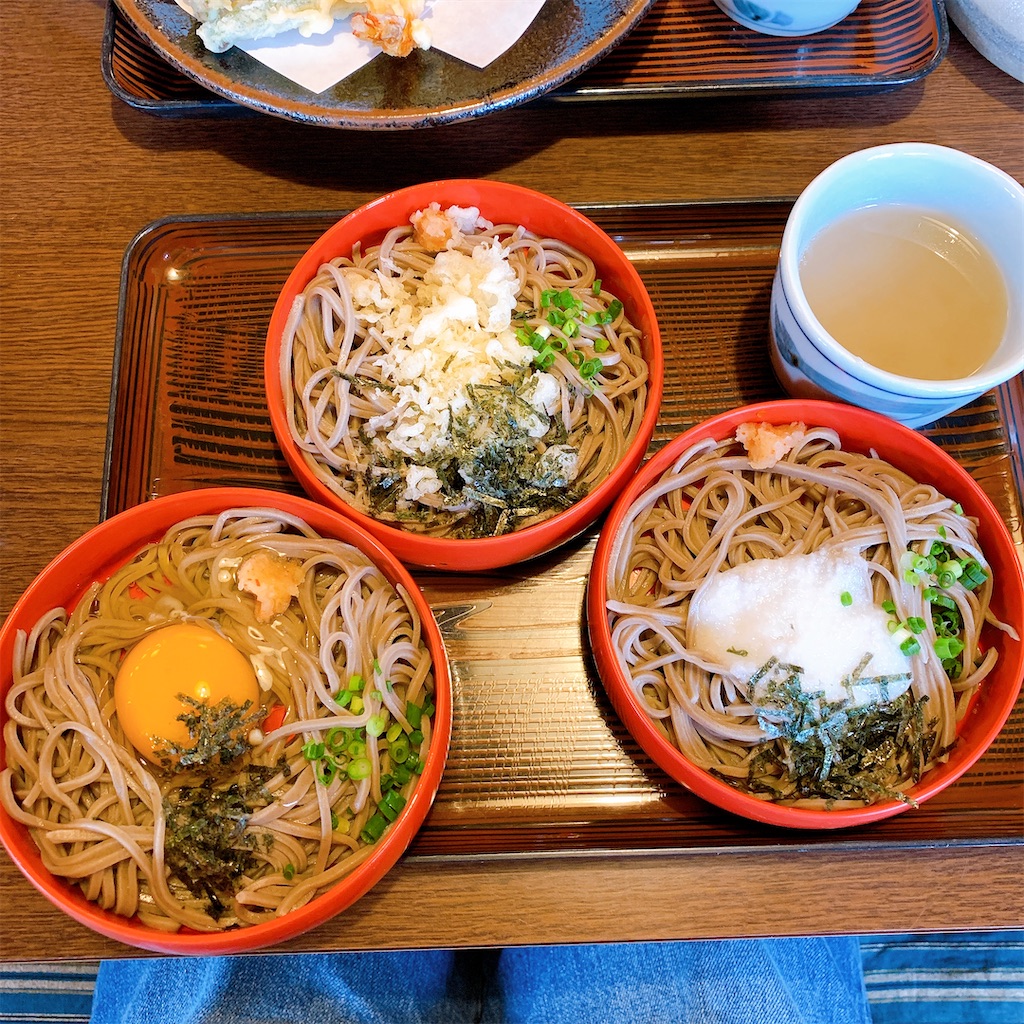 f:id:tmravel:20201211223254j:image