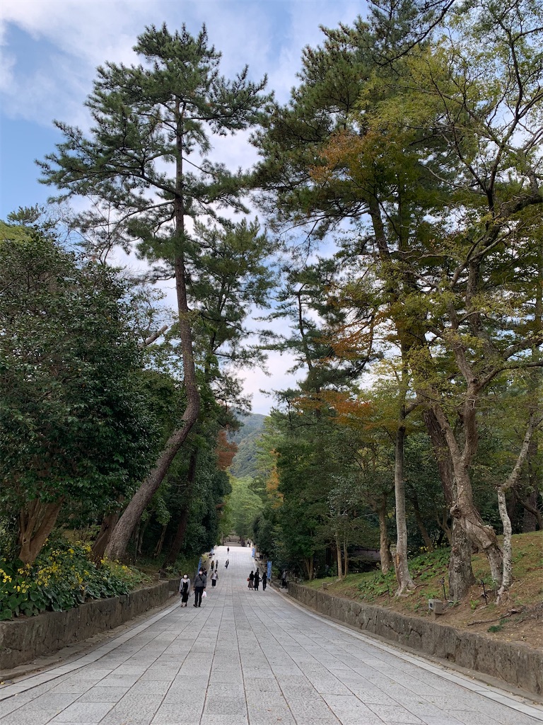 f:id:tmravel:20201211225742j:image