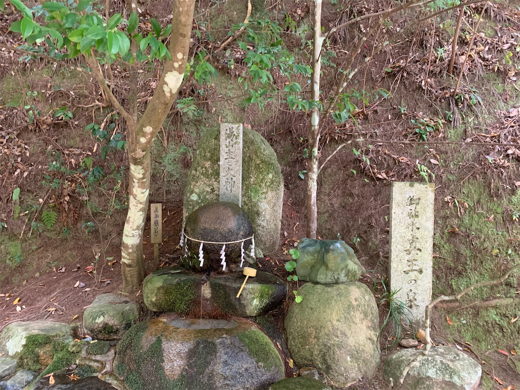 f:id:tmravel:20201213215739j:image