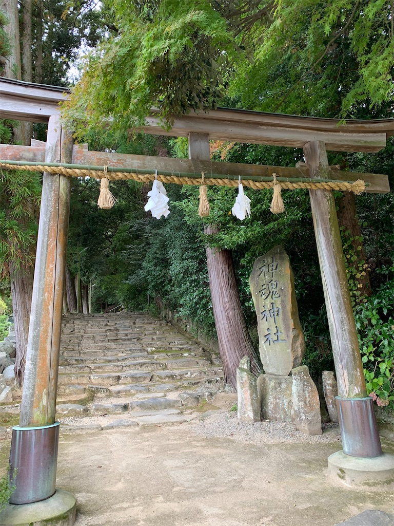 f:id:tmravel:20201213221531j:image