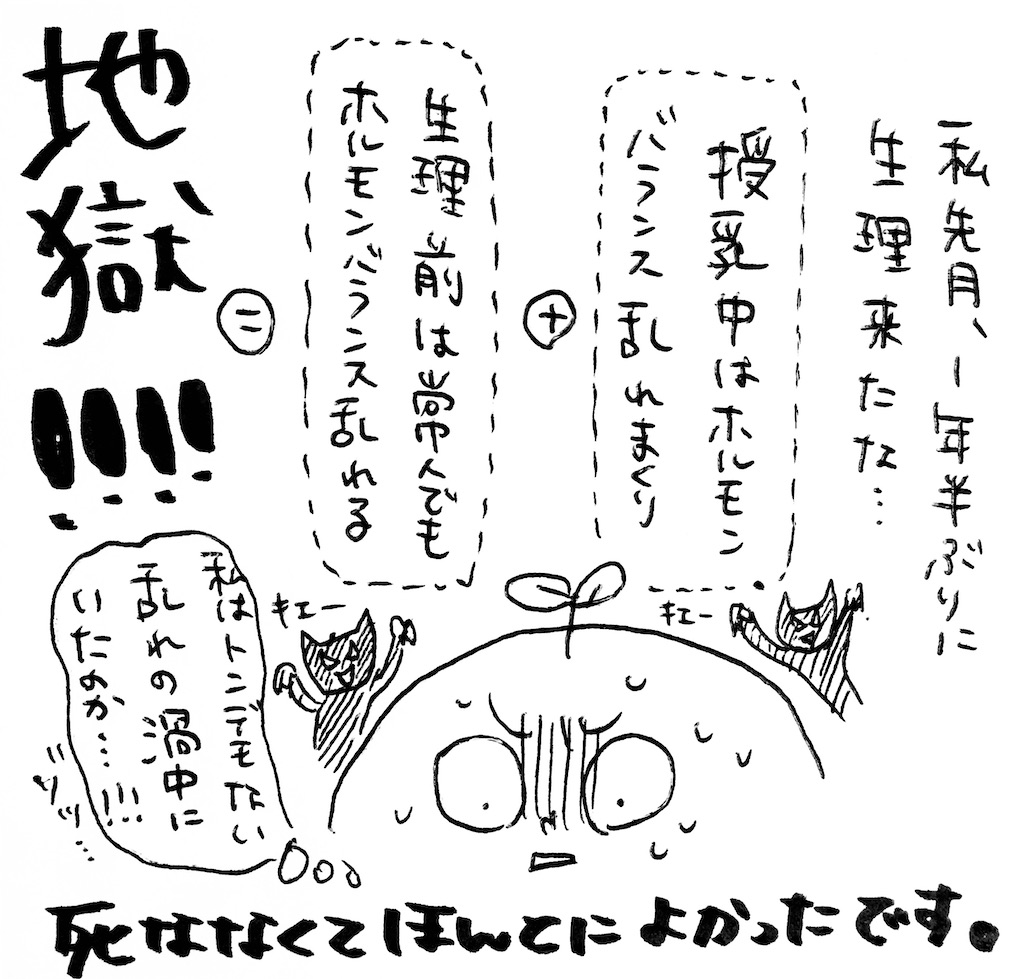 まさか授乳中の生理再開でこんなことになるとは ホルモンバランスの乱れ 要警戒です まいにちきろくノート