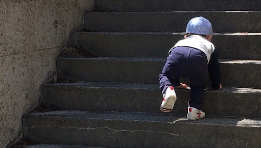 f:id:tmt_krk:20210419212340j:image f:id:tmt_krk:20210419212340j:image