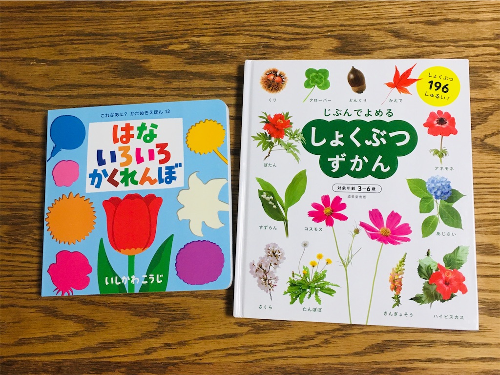 絵本 まとめ売り 漢字絵本 セット 大量 読み聞かせ 幼稚園 知育 石井式  