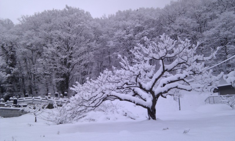  雪景色