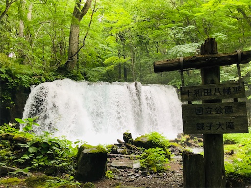 f:id:tmtmz:20200321230614j:image f:id:tmtmz:20200321230614j:image