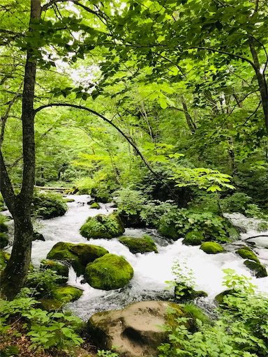 f:id:tmtmz:20200321230619j:image f:id:tmtmz:20200321230619j:image