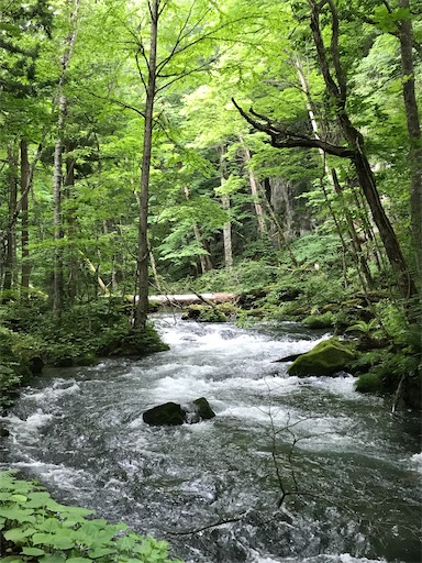 f:id:tmtmz:20200321230622j:image f:id:tmtmz:20200321230622j:image