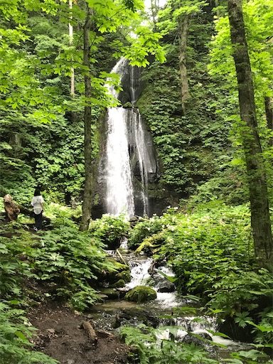 f:id:tmtmz:20200321230625j:image f:id:tmtmz:20200321230625j:image