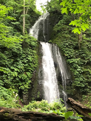 f:id:tmtmz:20200321230630j:image f:id:tmtmz:20200321230630j:image