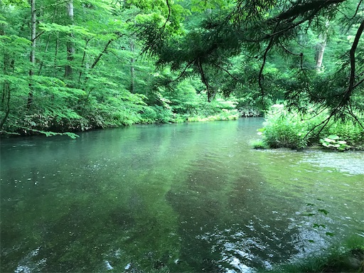 f:id:tmtmz:20200321230635j:image f:id:tmtmz:20200321230635j:image