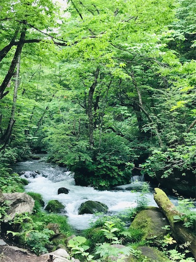 f:id:tmtmz:20200321230639j:image f:id:tmtmz:20200321230639j:image