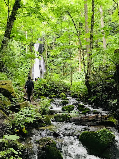 f:id:tmtmz:20200321230654j:image f:id:tmtmz:20200321230654j:image