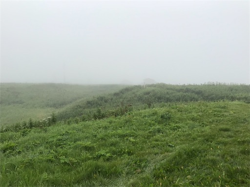 f:id:tmtmz:20200411200043j:image