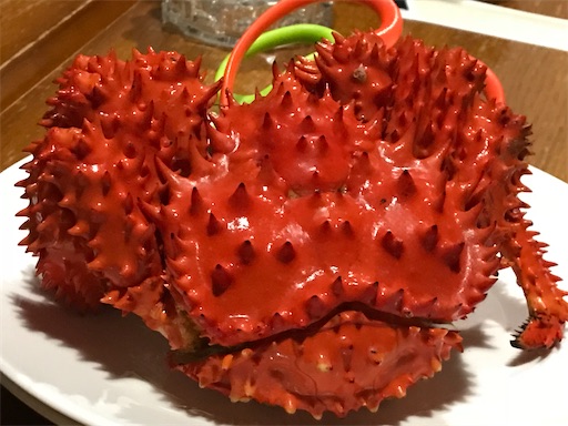 f:id:tmtmz:20200412130036j:image