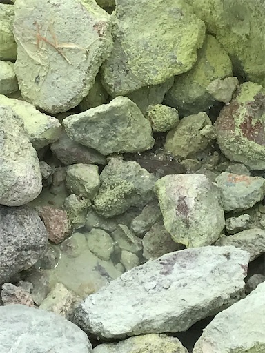 f:id:tmtmz:20200425132834j:image