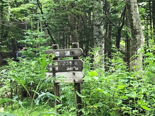 f:id:tmtmz:20200426222939j:image