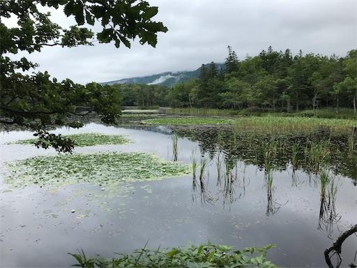 f:id:tmtmz:20200426223017j:image