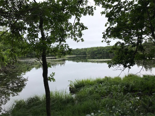 f:id:tmtmz:20200426223027j:image